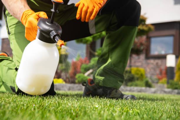 Best Best Pest Control Companies  in Snohomish, WA